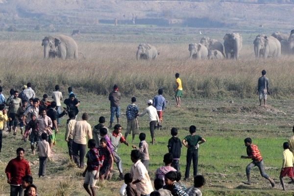 ‘Man-animal conflict on the rise in Dooars region’ ‘Man-animal conflict on the rise in Dooars region’
