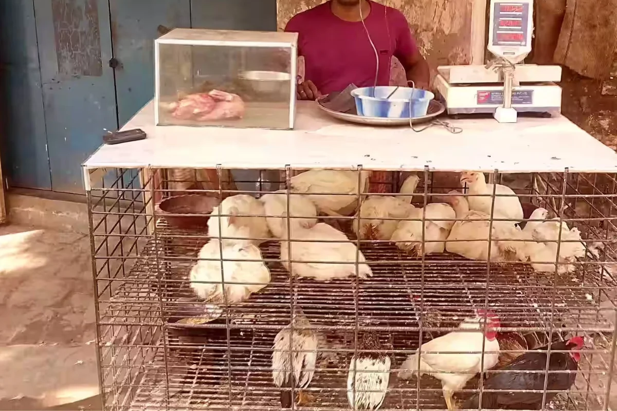 61 Meat Shops Fined Across Guwahati After Failing To Adhere To Food