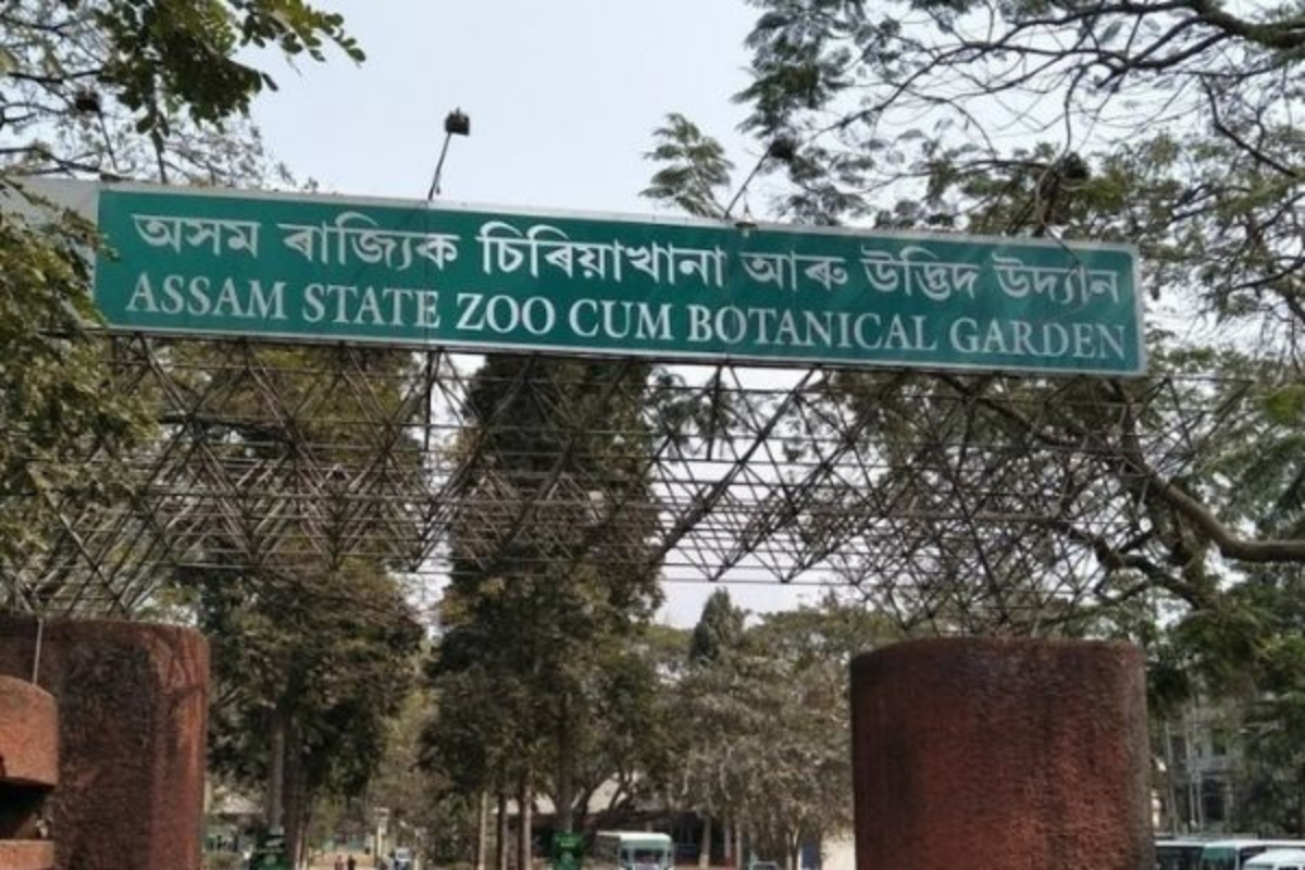 Is Assam State Zoo Sending Animals To A Private Zoo In Gujarat?