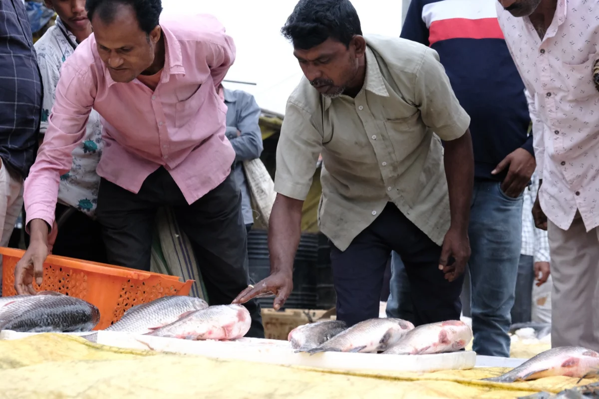 Guwahati's Largest Local Wholesale Fish Market In Shambles