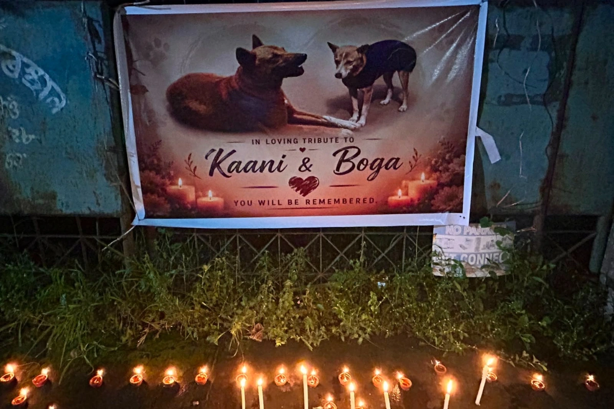Who Speaks for the Voiceless? Guwahati’s Beltola Dog Deaths Raise Questions on Animal Cruelty
