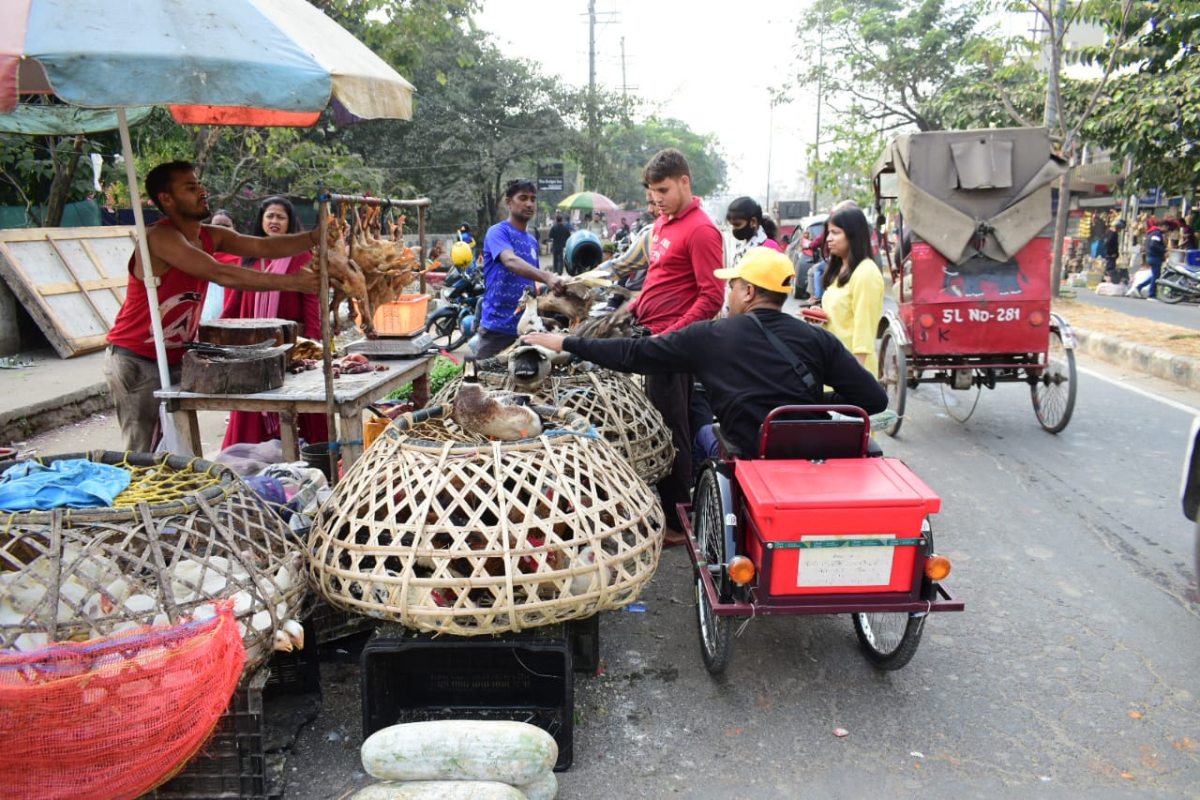 Chicken Prices To Skyrocket In Guwahati