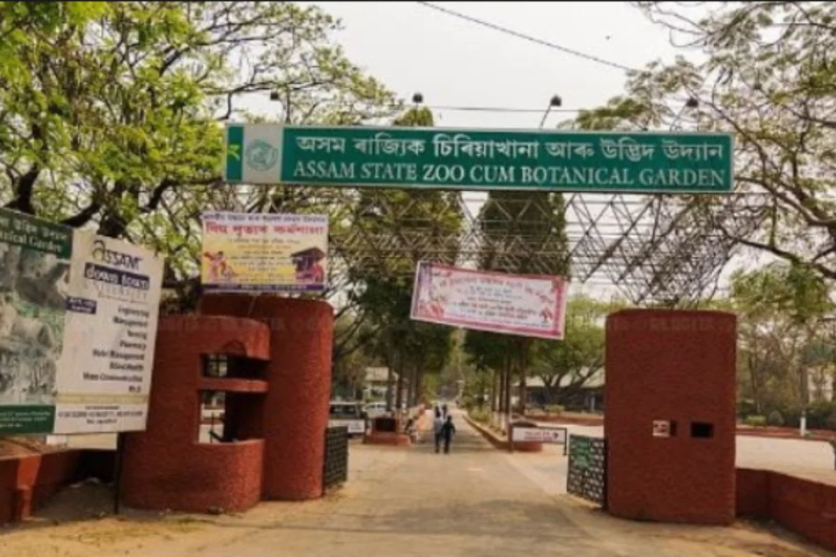 Assam State Zoo Set To Transform Into India's Premier Wildlife Destination