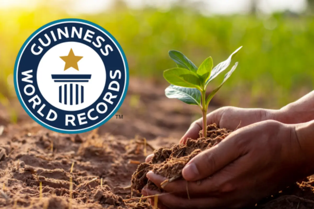 assam-to-receive-guinness-recognition-for-massive-tree-planting